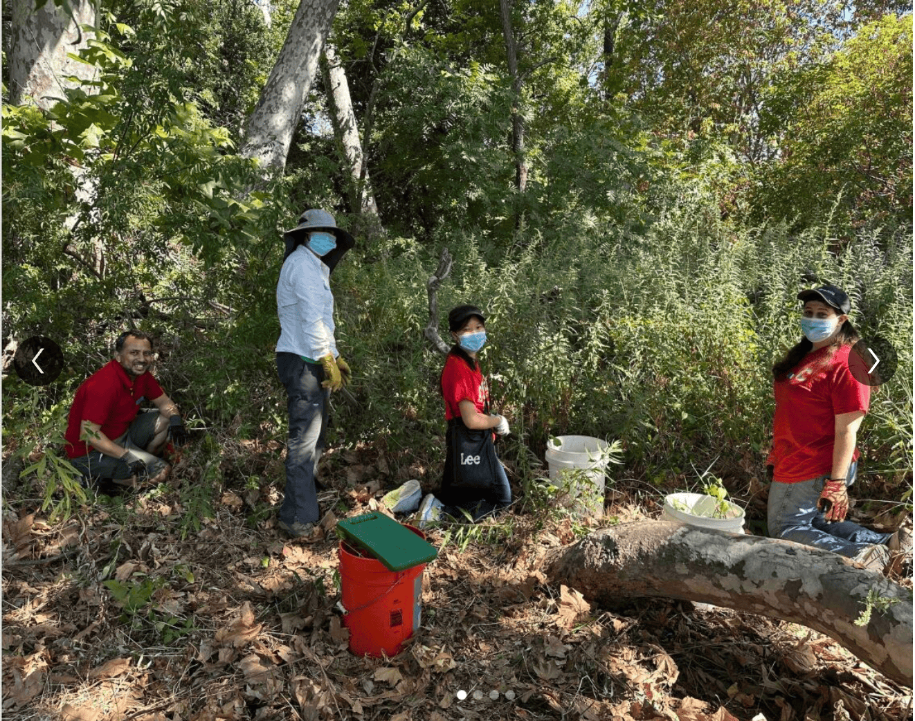 Volunteering outdoors